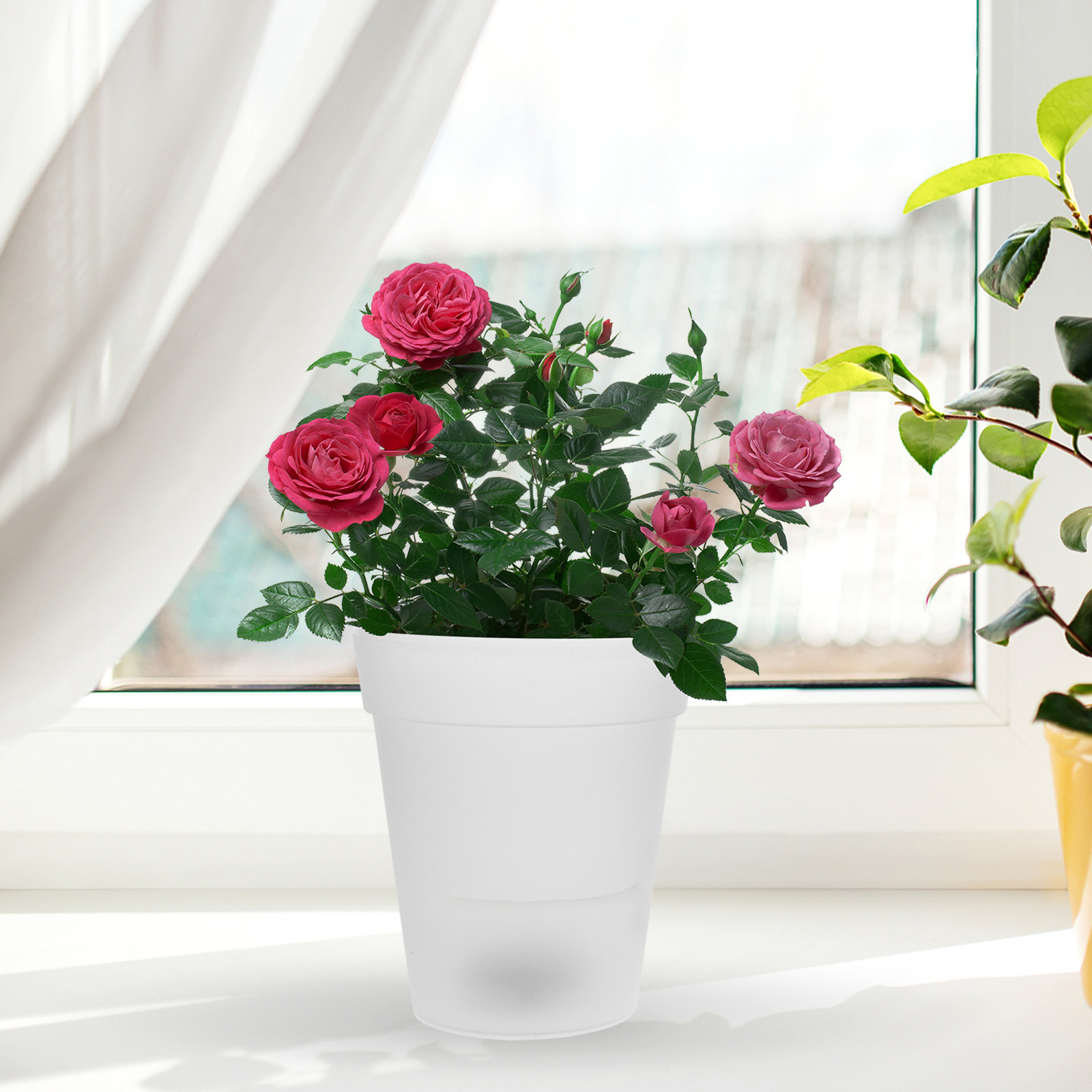 Flowerpot Solar Light Outdoor  - Christmas Lights Outdoor avis et prix