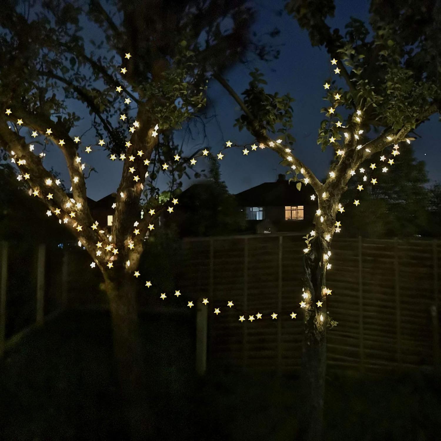 50ft 120 LED Solar Star Fairy  - Led Fairy String Lights avis et prix