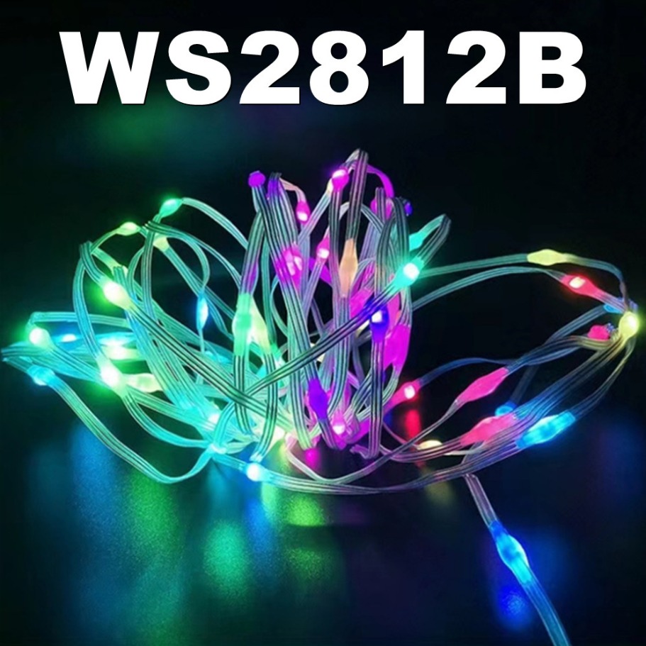 WS2812B LED Light String Smart - Led Fairy String Lights avis et prix